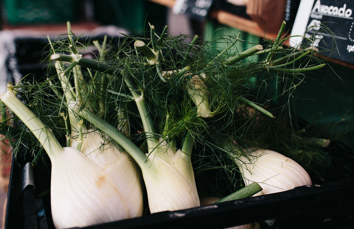 Fenchel in einer Kiste